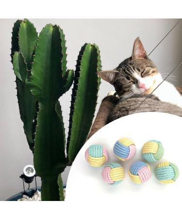 6-Piece Cat Toy Ball Set for Cats & Kittens | Boost Intelligence & Playtime Fun - Buy Online on GoSupps.com