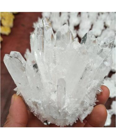 Natural Crystal Rough 600g Natural White Quartz Crystal Cluster Specimen Wedding Decoration Aquarium - Buy Online on GoSupps.com