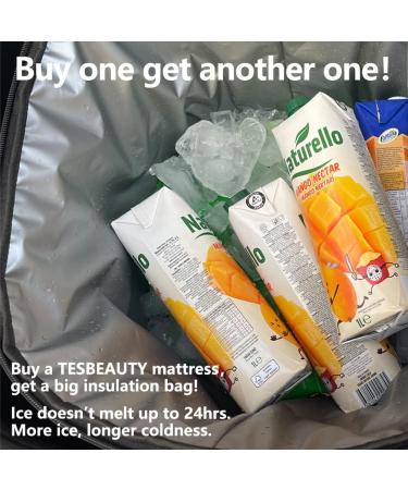 TESBEAUTY Tesla Model Y Camping Mattress & Carry Case - High Density Memory Foam - Buy Online on GoSupps.com