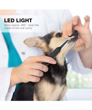 Dog Teeth Cleaning Tools with LED Light 3 Modes Dog Plaque Tartar Remover for Teeth Detachable Teeth Cleaning Kit for Dogs Cats Grey - Buy Online on GoSupps.com