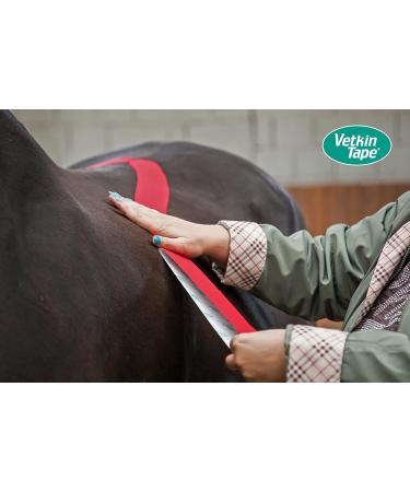 Vetkintape Kinesiology Tape for Animals - Red (3cm x 5m) | Latex-Free T V-Certified Kinesiotape for Horses & Dogs | 25% Stronger Adhesive | Pack of 2 Rollers - Buy Online on GoSupps.com