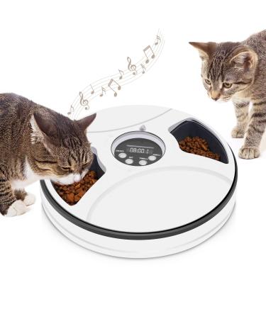 Chintu Automatic Cat Feeder Timed Cat Feeder for Two Cats - 3 Meals Portion Control Auto Pet Cat Food Dispenser for Small Dog, Auto Cat Feeder with Programmable Timer and Voice Reminder