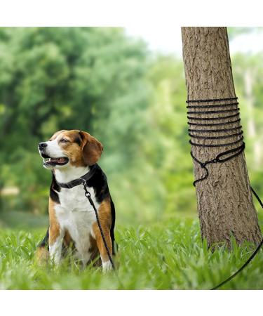 Joytale Reflective Drag Line for Dogs | 15m Nylon Dog Leash with Padded Handle & 2 Carabiner Hooks | Ideal Training Line for Puppies & Small Dogs | 1 Pack - Black - Buy Online on GoSupps.com