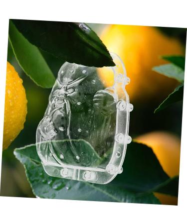 GANAZONO 4pcs Fruit Shaping Mold Watermelon Small Fruit Mold Fruits Mold Ginseng Fruit Modeling - Buy Online on GoSupps.com