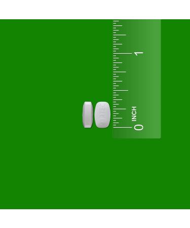 Zyrtec 24 Hour Allergy Relief Tablets - Antihistamine with 10 mg Cetirizine HCl 14 ct (Pack of 2) - Fast International Shipping - Buy Online on GoSupps.com