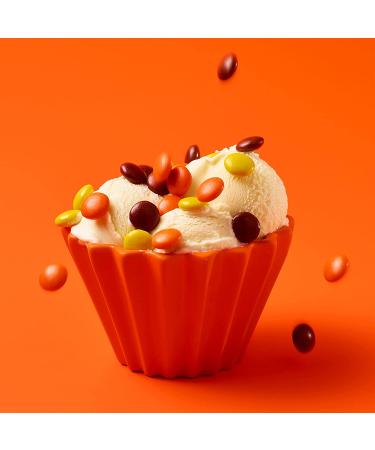 REESE'S PIECES Peanut Butter Candy 48 oz - Bulk Bag | Buy Online Now - Buy Online on GoSupps.com