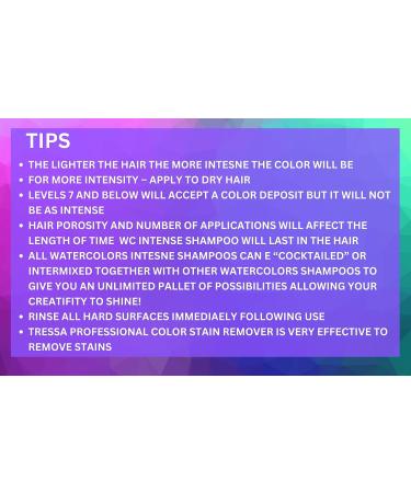 Intense Purple Watercolor Sulfate-Free Shampoo 8.5 Fl Oz - Maintains and Enhances Hair Color - Buy Online on GoSupps.com