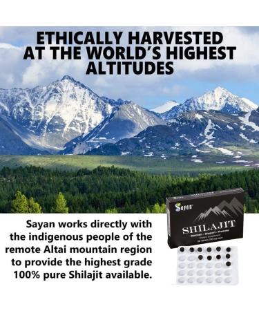 Sayan Pure Shilajit Black Resin Mineral Tablets - 60 Organic Drops, Immune Support & Energy Boost - Buy Online on GoSupps.com