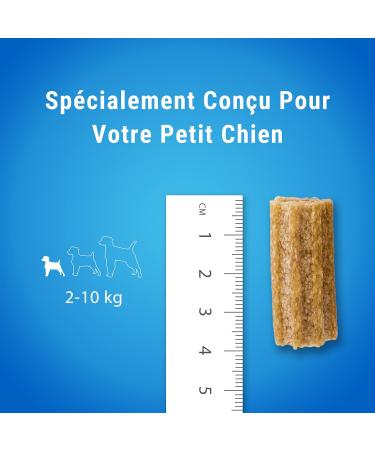 Purina Dentalife Mini for Little Dogs | 108 Grain-Causes | Maxi Pack 2 x 882g | Oral Hygiene Treats - Buy Online on GoSupps.com