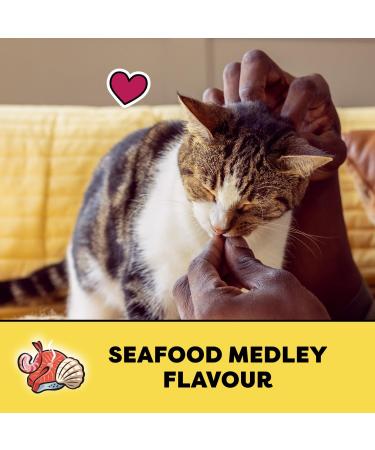 TEMPTATIONS Adult Cat Treats Seafood Medley Flavour 454g Tub Cat Treats Seafood 454 g (Pack of 1) - Buy Online on GoSupps.com