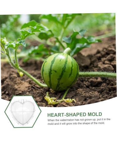 KICHOUSE Fruit Forming Mold Heart Shaped Watermelon Molds Vegetable Forming Machine Watermelon Growing Mold - Buy Online on GoSupps.com