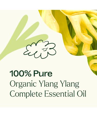 Plant Therapy Organic Ylang Ylang Complete Essential Oil 30 mL (1 oz) 100% Pure USDA Certified Organic Undiluted Sensual Aromatherapy and Natural Skin Care - Buy Online on GoSupps.com