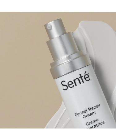 Sent Dermal Repair Facial Cream - Hydrate & Renew Sensitive Rosacea-Prone Skin with HSA Vitamin E & Green Tea - 1.7 Fl Oz - Buy Online on GoSupps.com