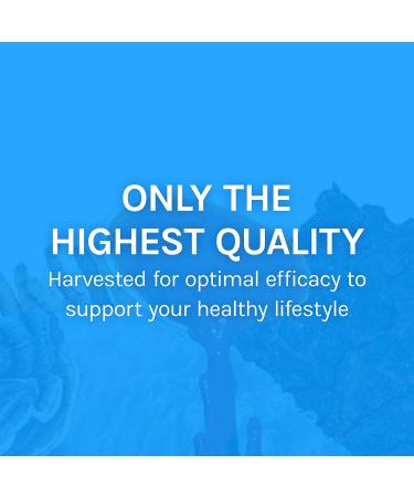 Fungi Perfecti Breathe Healthy: 60 Vegetarian Capsules for Respiratory Support - Buy Online on GoSupps.com