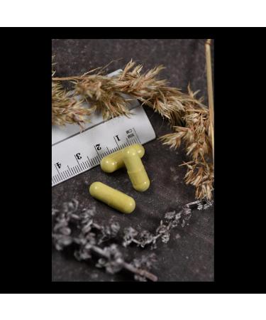 Buy Solaray Quercetin 500mg Capsules | 90 Vegan Gluten-Free Supplements | Boost Vitamin C Absorption | Lab Tested & Non-GMO - Buy Online on GoSupps.com