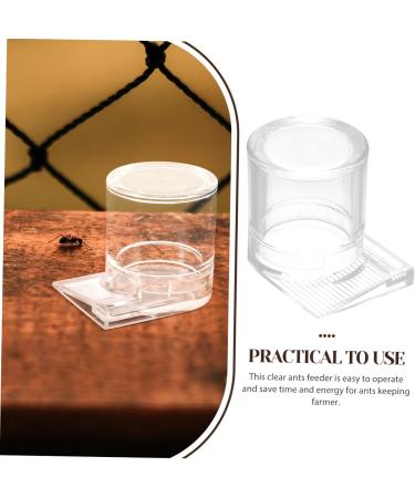 ORFOFE Pet Water Feeder Ant Waterer Ant Feeder Station Ant Bottle Feeder Ant Water Drinking Cup Plastic - Buy Online on GoSupps.com