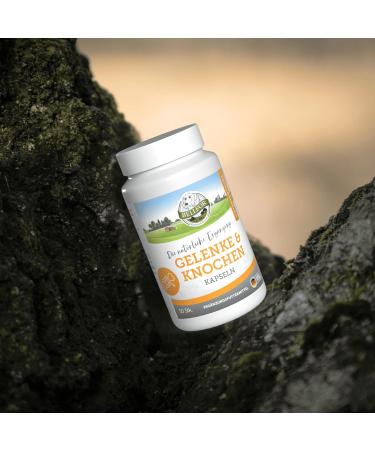Bellfor Joints and Bones Food Supplement with Ovopet specially designed to regulate joint metabolism and preserve mobility Dogs 50 capsules - Buy Online on GoSupps.com