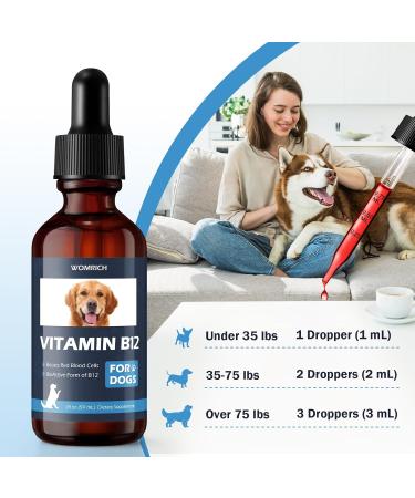 Appetite Stimulant Vitamin B12 for Dogs | Methylcobalamin (Methyl B12) | Treatment of EPI in Dogs Boosts Red Blood Cell Formation Energy Nervous System Treats Pancreatitis | 2 fl oz - Buy Online on GoSupps.com