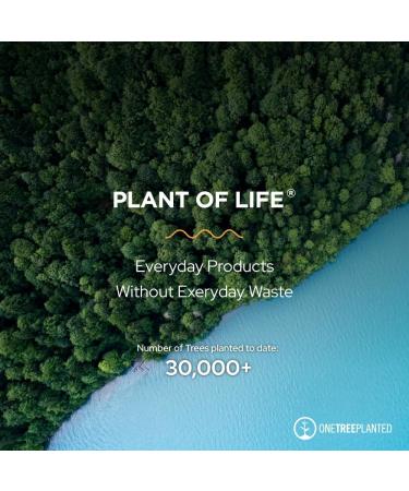 STONE BREAKER - Chanca Piedra by Plant of Life | Powerful Cleanse + Detox | Kidney Gall Bladder Urinary Tract | 60 Capsules | 30 Day Supply - Buy Online on GoSupps.com