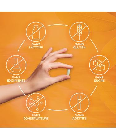 Bioph nix Organic Vitamin B 90 Capsules - 100% Natural Organic Plant Based Food Supplement - Vitamins B1 B2 B3 B5 B6 B8 B9 and B12. Energy Vitality and Immunity - Buy Online on GoSupps.com