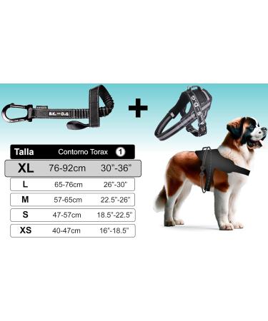 Shop Bike & Dog: Patented XL Black Dog Leash & Harness for Safe Biking Includes 3-Ring Dishes & Special Bridles - Perfect for Active Dog Owners! - Buy Online on GoSupps.com