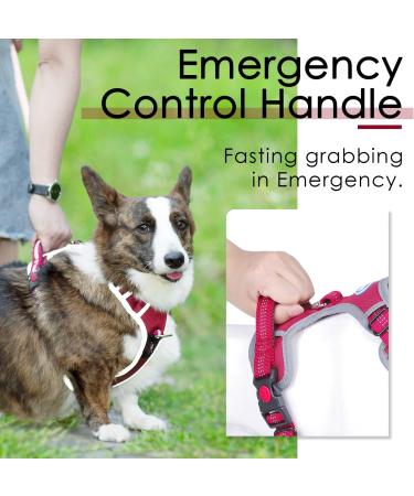 Thinkpet No-Pull Dog Harness - Adjustable Breathable & Reflective Safety Harness for Small Medium & Large Dogs - Includes 1.5m Leash Set (2XL) - Buy Online on GoSupps.com
