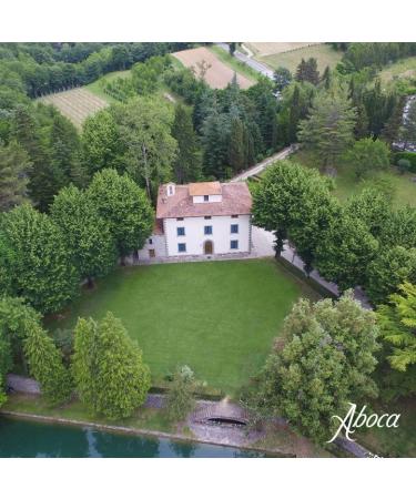 Aboca Lynphase Liquid concentrate bottle 180 g drainage of body fluids and vascular wellbeing with dandelion gold dang orthosiphon buckwheat and Russian - Buy Online on GoSupps.com