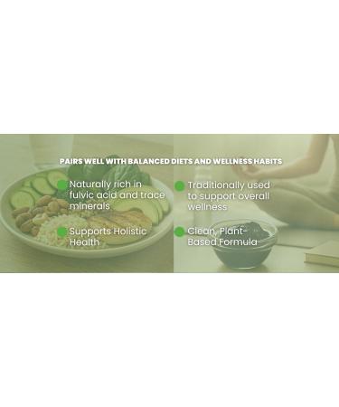 AYURVEDASHREE Shilajit Extract Capsules 1000mg with 40%+ Fulvic Acid 60 Veg Capsules for Men & Women - Buy Online on GoSupps.com