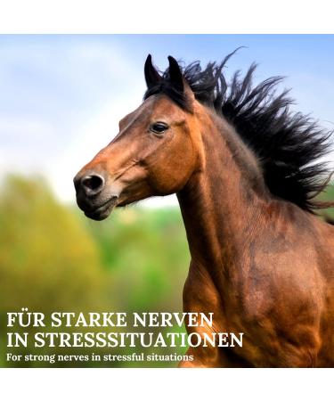 Stiefel Mag-Power Liquid 1 Liter Dosierflasche - Buy Online on GoSupps.com