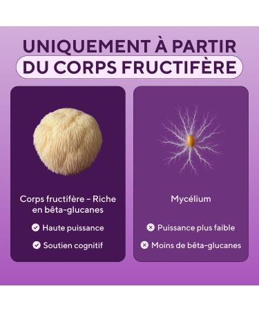 Lion's Mane - 10 000 mg - G lules de crini re de lion Extrait de champignon Hericium Erinaceus 10:1 Naturel et sans OGM (180 capsules) 180 unit (Lot de 1) - Buy Online on GoSupps.com
