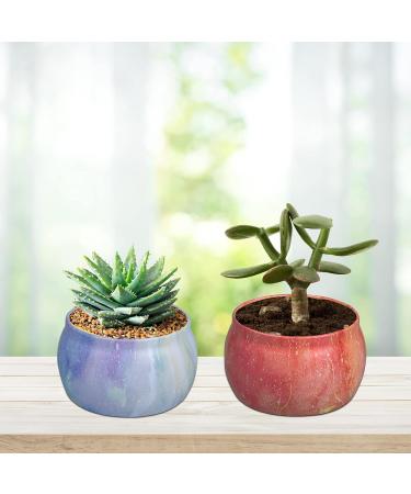 Fragrance Candles Gift Set - 4 Pack 4.4 oz Soy Wax Aromatherapy Candles | Strongly Fragrant Essential Oils for Stress Relief | Perfect for Christmas Birthdays & Mother's Day | Decorative Candles for Home & Bathroom - Buy Online on GoSupps.com