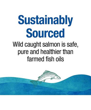 Natural Factors Wild Alaskan Salmon Oil 1000 mg - 90 Softgels | Omega-3 Supplements - Buy Online on GoSupps.com