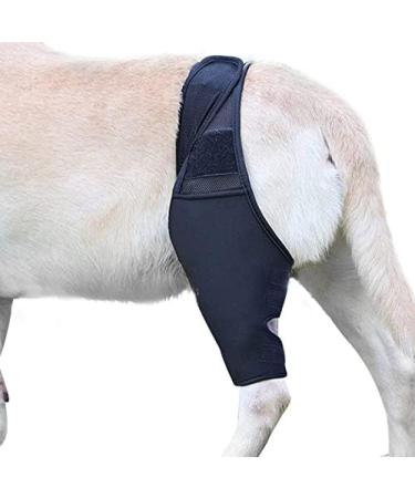 Dog Leg Bracket Pet Dog Leg Support Bracket Dog Hind Leg Protection Device Adjustable Knee Bracket Leg Bracket Dog Arthritis Bracket for Dog Hind Leg Rehabilitation S