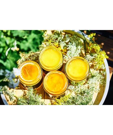 4x Linden honey 250 gr Italian Caravella Fine FoodCreamy Light Floral Spicy Raw UnpasteurizedAntioxidants Enzymes Soothing and Calming Ideal for Tea Breakfast Wellness Skin Glow - Buy Online on GoSupps.com