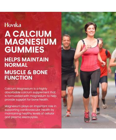 Calcium Magnesium Zinc Gummies with Potassium Vitamin C, B6, D3, K2 - Calcium for Women & Men - Calcium Magnesium Zinc Multi Vitamin Supplement for Bones, Muscles, Teeth, Calm Mood & Immunity - 60 Cts Raspberry 60 Count (Pa  - Buy Online on GoSupps.com