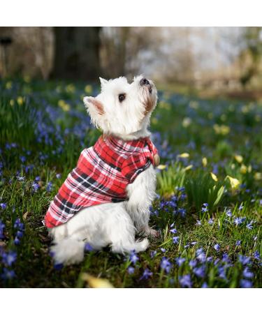 Amaone Leopard Bowknot Dog Coat for Chihuahua Puppies - Stylish Winter Knit Jacket for Small Dogs - Rosa & Green Options Available - Buy Online on GoSupps.com
