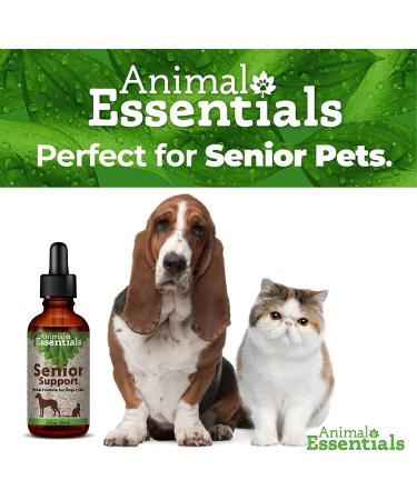 Animal Essentials AS-9000519-2 Alfalfa/Yucca Blend Dog & Cat Supplement 1oz (Pack of 2) - Buy Online on GoSupps.com
