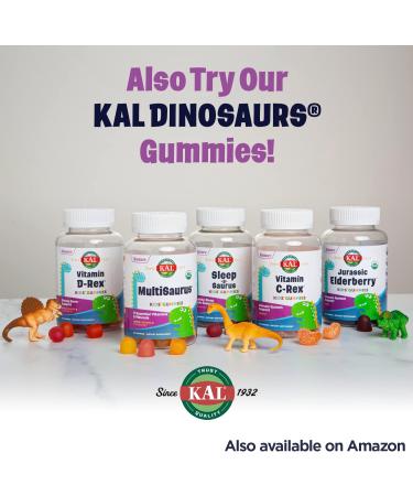KAL Magnesium Powder - Pure Citrate for Kids | Bone Health, Muscle & Nerve Support | Vegan, Gluten Free & Sugar Free | 90 Servings - 4 oz - Buy Online on GoSupps.com