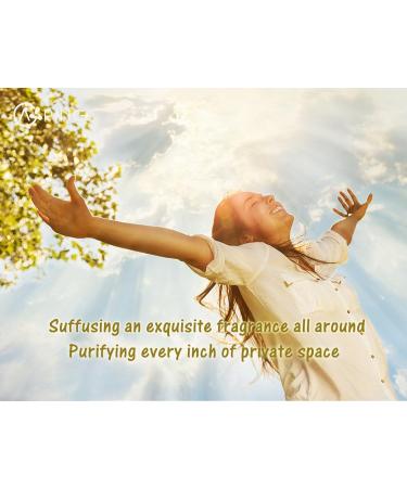 2-Pack Peach Essential Oil - 100% Pure Organic Natural Plant (Prunus persica) Peach Oil for Diffuser Aroma Spa Massage Yoga Perfume Body - 2x10ML - Buy Online on GoSupps.com