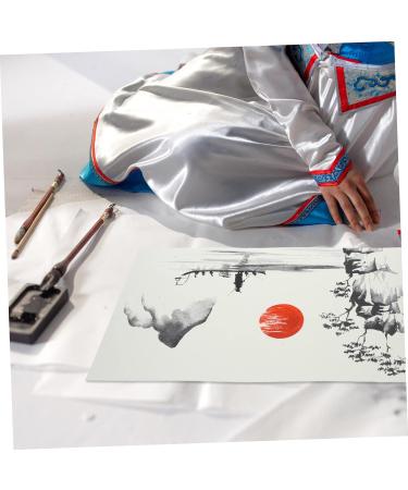 NUOBESTY 10 Sheets Raw Rice Cardboard Rice Paper Plants Convenient Thick Paper Drawing Paper Thicken White 0.1X30X50CM - Buy Online on GoSupps.com