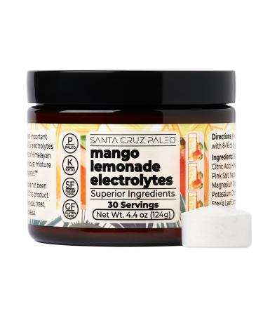 Santa Cruz Paleo Real Salt Electrolytes Powder Mango Lemonade Hydration Drink Mix Made with Himalayan Pink Salt Sea Salt Gluten Free Keto Sugar Free Paleo 30 Servings 1 Jar