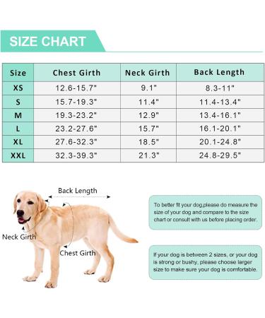 Kuoser Dog Body Suit - Breathable Post-Op Protection for Dogs & Cats | Leakage Prevention & Alternative Collar | Purple Stripes - Buy Online on GoSupps.com