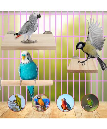 QUOZUO Bird Perches Stand Platform Natural Wood Parrot Toy Perch Stand Budgie Cage Accessories for parakeets Cockatiel Parrot - Buy Online on GoSupps.com
