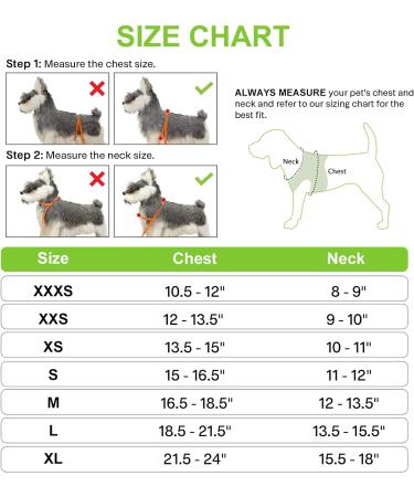 Joyal Dog Harness for Small Dogs | Reflective Soft Padded & Breathable Air-Mesh XS - Green (34-38cm) - Buy Online on GoSupps.com