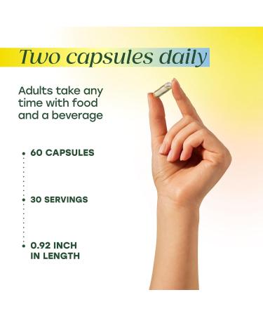 MegaFood Vegan Omega 3 6 9 - Burp-Less Supplement - 600 mg Plant-Based Omega 3 & 150 mg DHA Per Serving - Heart Brain Vision & Joint Support - Fish Oil Alternative - 60 Capsules 30 Servings - Buy Online on GoSupps.com