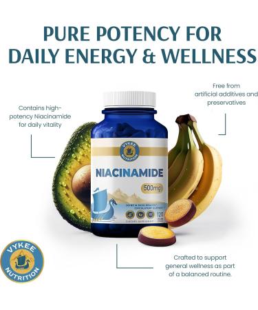 Vykee Nutrition Niacinamide Capsules - Vitamin B3 Supplement for Skin Wellness Cellular Energy and Metabolic Support - Vegan Non-GMO Gluten Free - 500 mg 120 Count - Buy Online on GoSupps.com