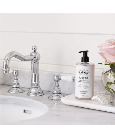 J. R. Watkins Rosewater Moisturizing Gel Hand Soap - 12 oz Pump - Plant-Based Ingredients - 1 Pack - Buy Online on GoSupps.com