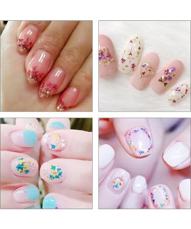 1Box 3D Dried Flower Nails Art Nail Accessories Elegant Nails Art Adornments Decoration Perfect For Nail Decoration Mixed Flowers For Nails Art S053F - Buy Online on GoSupps.com