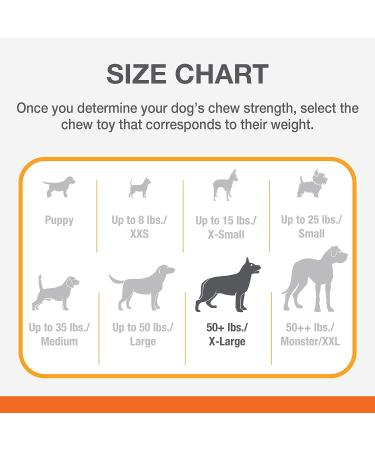 Nylabone Dura Chew Beef Jerky Power Chew - XL Chewing Bones for Heavy Chewers (Pack of 2) - Ideal for Dogs up to 23 kg - Multi-Colored - Buy Online on GoSupps.com