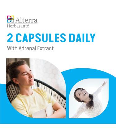 Alterra Adrenergy | Adernal Support Supplement |Adaptogen & stress relief supplement |Helps maintain Cognitive funtion reduce mental fatigue and stress relief | Adrenal extract & Rhodiola Rosea supplement - 90 Capsules - Buy Online on GoSupps.com